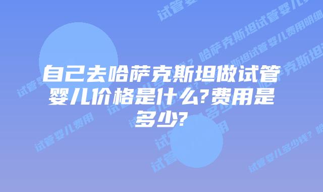自己去哈萨克斯坦做试管婴儿价格是什么?费用是多少?
