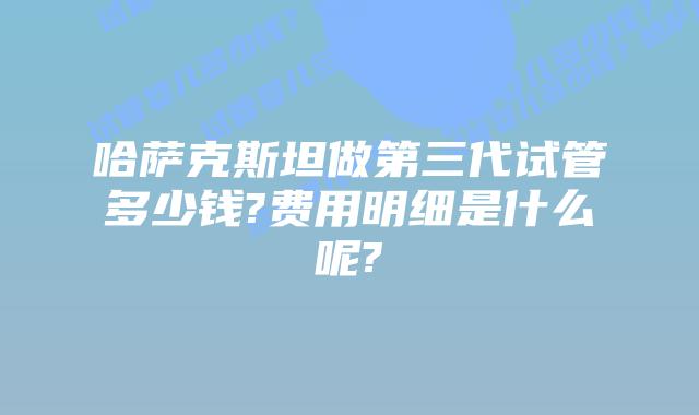 哈萨克斯坦做第三代试管多少钱?费用明细是什么呢?