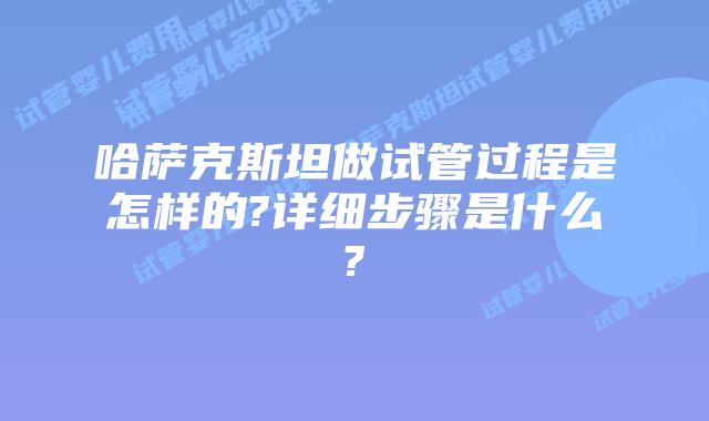 哈萨克斯坦做试管过程是怎样的?详细步骤是什么?