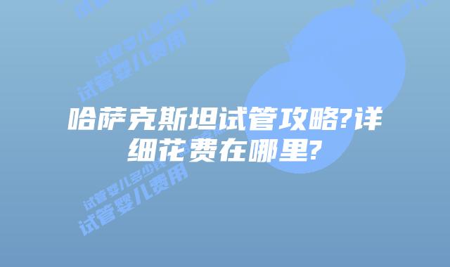 哈萨克斯坦试管攻略?详细花费在哪里?
