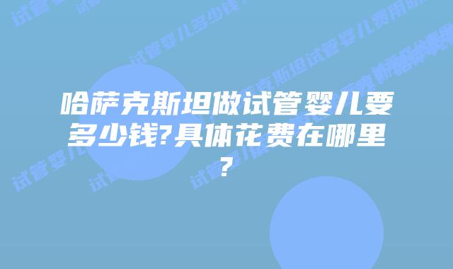 哈萨克斯坦做试管婴儿要多少钱?具体花费在哪里?