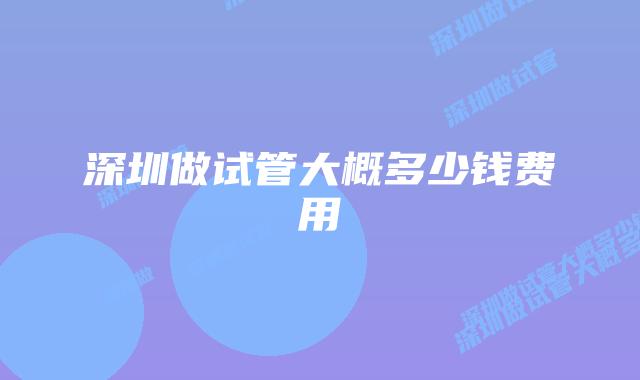 深圳做试管大概多少钱费用