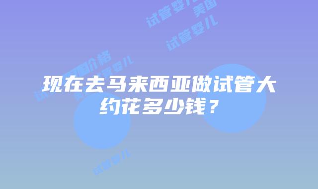 现在去马来西亚做试管大约花多少钱?