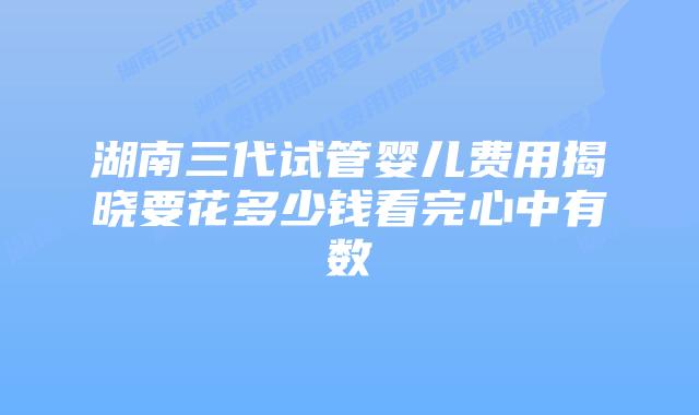 湖南三代试管婴儿费用揭晓要花多少钱看完心中有数