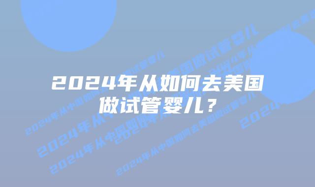 2024年从如何去美国做试管婴儿？