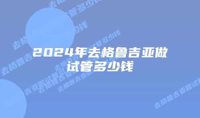 2024年去格鲁吉亚做试管多少钱