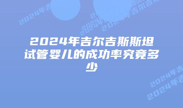 2024年吉尔吉斯斯坦试管婴儿的成功率究竟多少