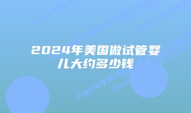 2024年美国做试管婴儿大约多少钱