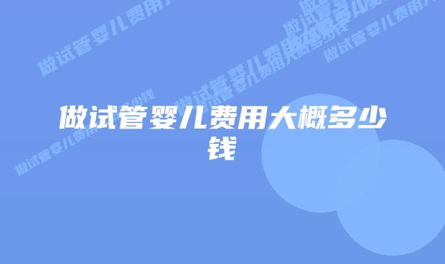 做试管婴儿费用大概多少钱