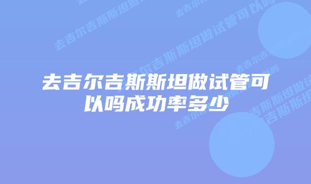 去吉尔吉斯斯坦做试管可以吗成功率多少
