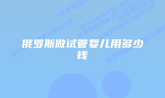 俄罗斯做试管婴儿用多少钱