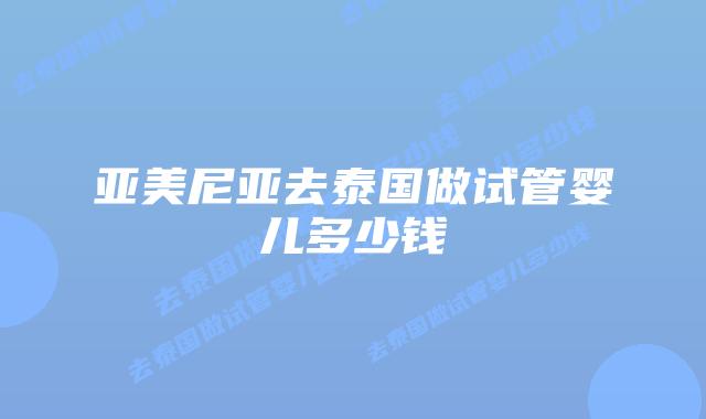 亚美尼亚去泰国做试管婴儿多少钱