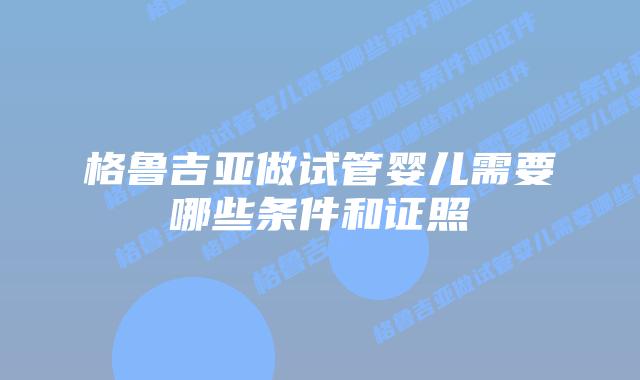 格鲁吉亚做试管婴儿需要哪些条件和证照