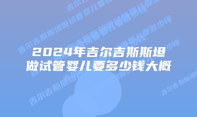 2024年吉尔吉斯斯坦做试管婴儿要多少钱大概