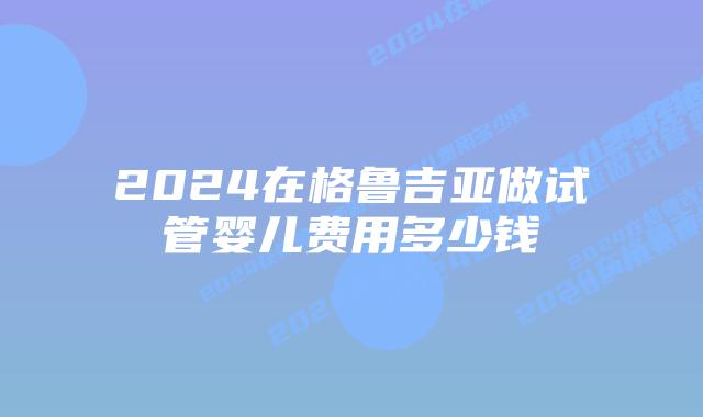 2024在格鲁吉亚做试管婴儿费用多少钱