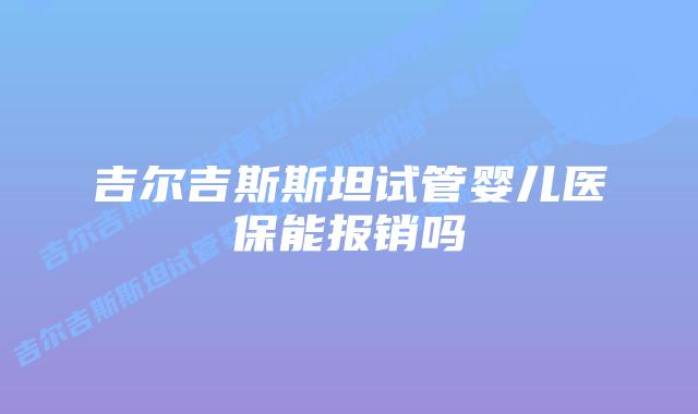 吉尔吉斯斯坦试管婴儿医保能报销吗