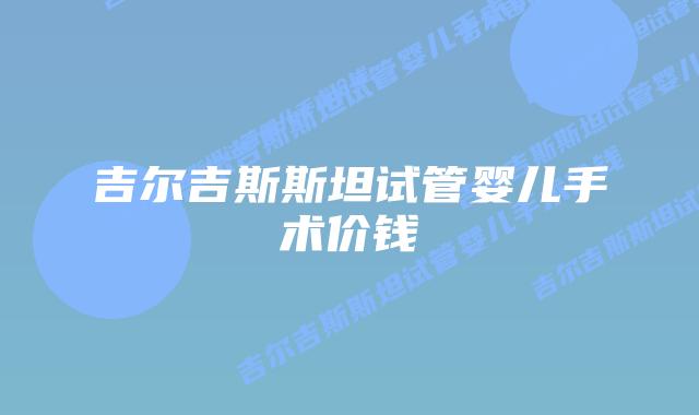 吉尔吉斯斯坦试管婴儿手术价钱