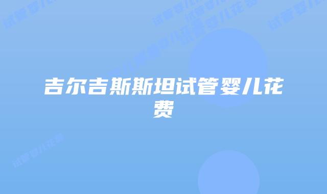 吉尔吉斯斯坦试管婴儿花费