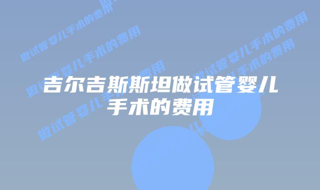 吉尔吉斯斯坦做试管婴儿手术的费用