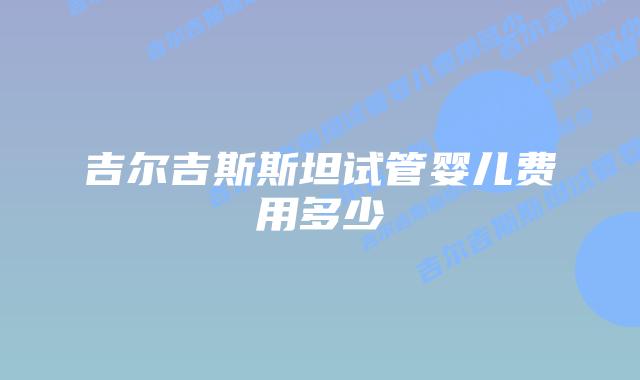 吉尔吉斯斯坦试管婴儿费用多少