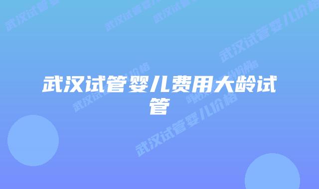 武汉试管婴儿费用大龄试管