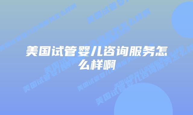 美国试管婴儿咨询服务怎么样啊