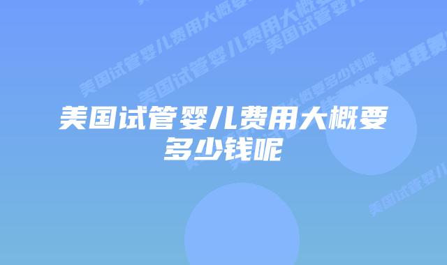 美国试管婴儿费用大概要多少钱呢