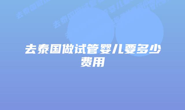 去泰国做试管婴儿要多少费用