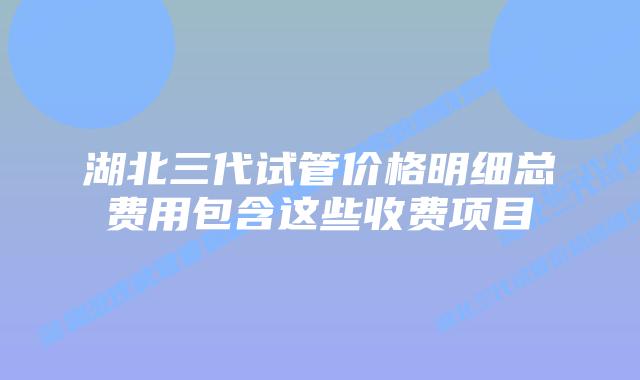 湖北三代试管价格明细总费用包含这些收费项目