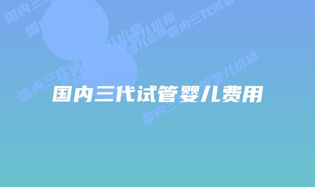 国内三代试管婴儿费用
