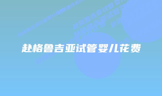 赴格鲁吉亚试管婴儿花费