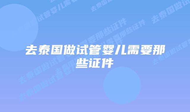 去泰国做试管婴儿需要那些证件