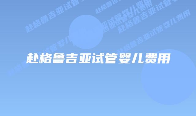 赴格鲁吉亚试管婴儿费用