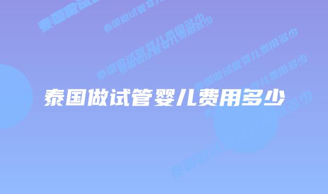 泰国做试管婴儿费用多少
