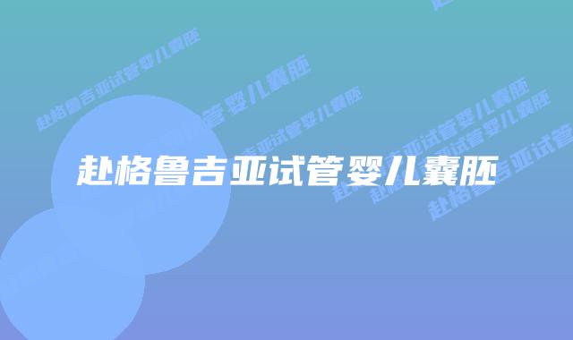 赴格鲁吉亚试管婴儿囊胚
