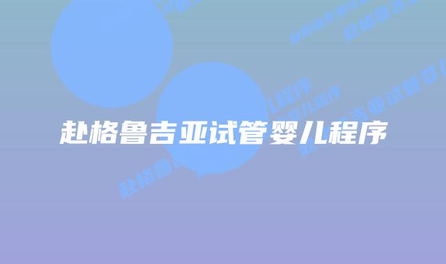 赴格鲁吉亚试管婴儿程序
