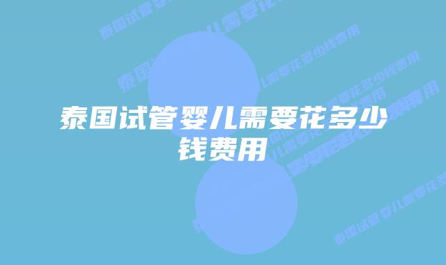 泰国试管婴儿需要花多少钱费用