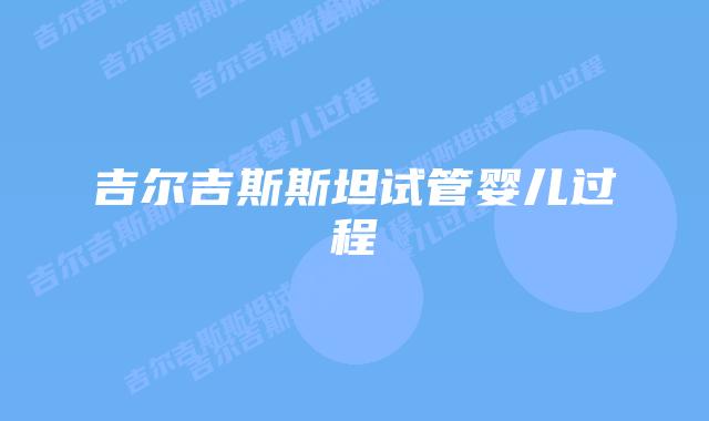 吉尔吉斯斯坦试管婴儿过程