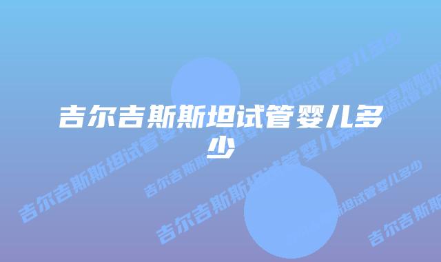 吉尔吉斯斯坦试管婴儿多少