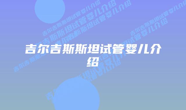吉尔吉斯斯坦试管婴儿介绍