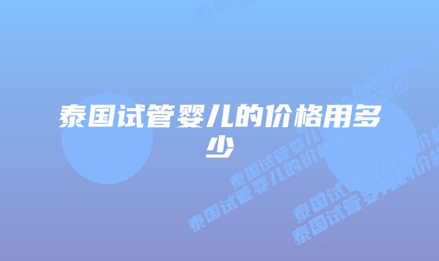 泰国试管婴儿的价格用多少