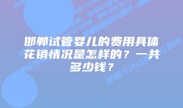 邯郸试管婴儿的费用具体花销情况是怎样的？一共多少钱？
