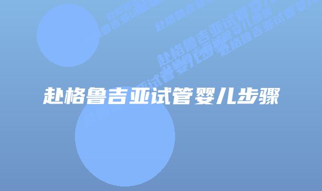 赴格鲁吉亚试管婴儿步骤