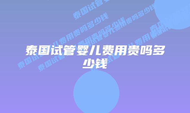泰国试管婴儿费用贵吗多少钱