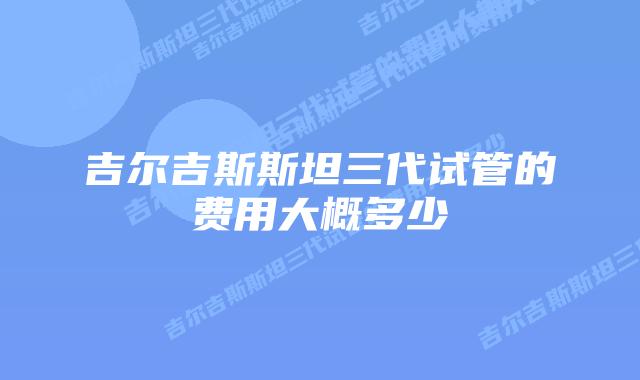 吉尔吉斯斯坦三代试管的费用大概多少