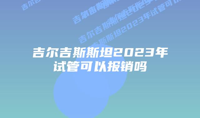 吉尔吉斯斯坦2023年试管可以报销吗