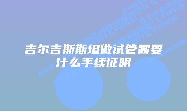 吉尔吉斯斯坦做试管需要什么手续证明