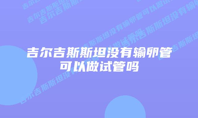 吉尔吉斯斯坦没有输卵管可以做试管吗