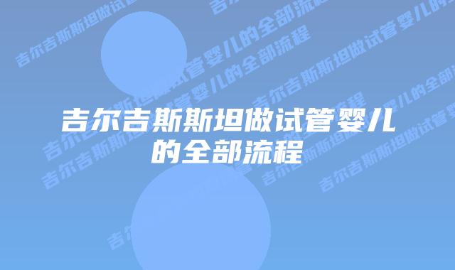 吉尔吉斯斯坦做试管婴儿的全部流程