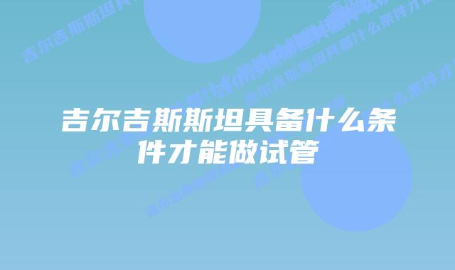 吉尔吉斯斯坦具备什么条件才能做试管